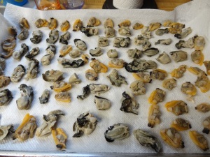 Oysters and clams curing before going into the smoker